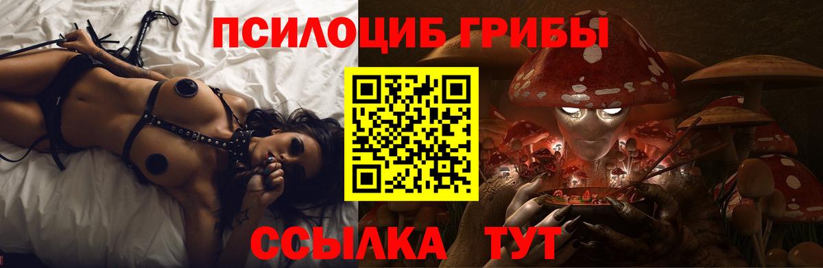 Галлюциногенные грибы Psilocybe  Вход с VPN  Галлюциногенные грибы ЛСД  Чехов 
